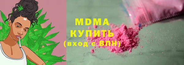 индика Гусь-Хрустальный