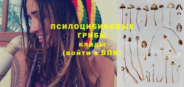 винт Михайлов