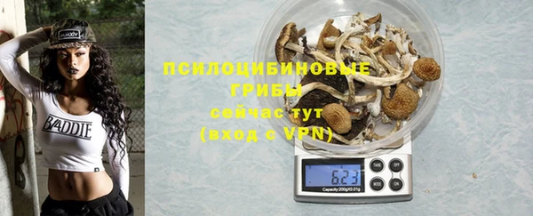 ГАЛЛЮЦИНОГЕННЫЕ ГРИБЫ Надым