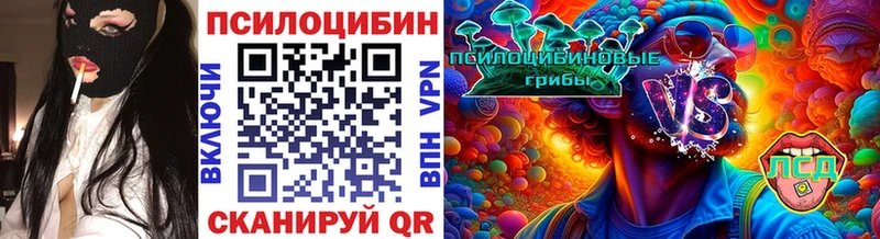 Псилоцибиновые грибы Psilocybe  сколько стоит  Заволжье 
