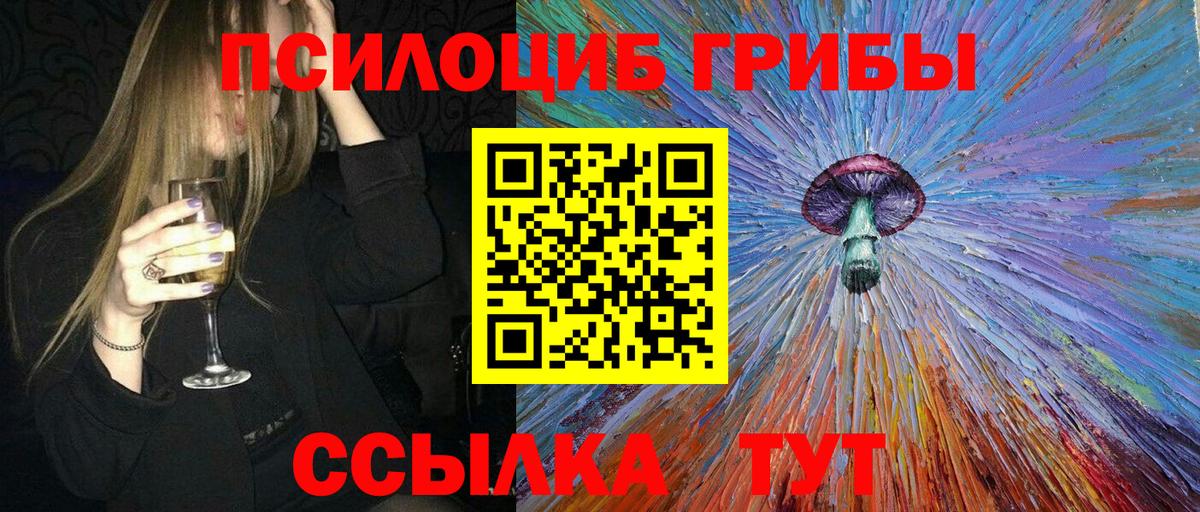 Псилоцибиновые грибы Psilocybe  Вход с VPN  Заволжье 
