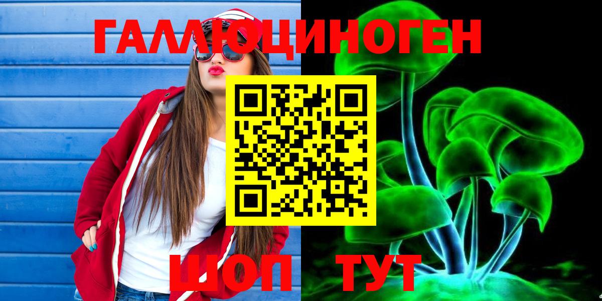 Псилоцибиновые грибы Psilocybe  Заволжье 